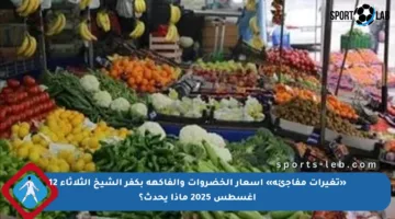 «تغيرات مفاجئة» أسعار الخضروات والفاكهة بكفر الشيخ الثلاثاء 12 أغسطس 2025 ماذا يحدث؟